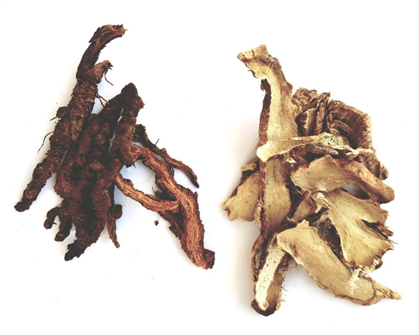 Digestion + Chaleur