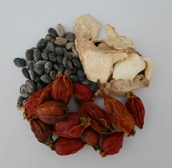 Zhi Zi Sheng Jiang Chi Tang